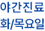 야간진료